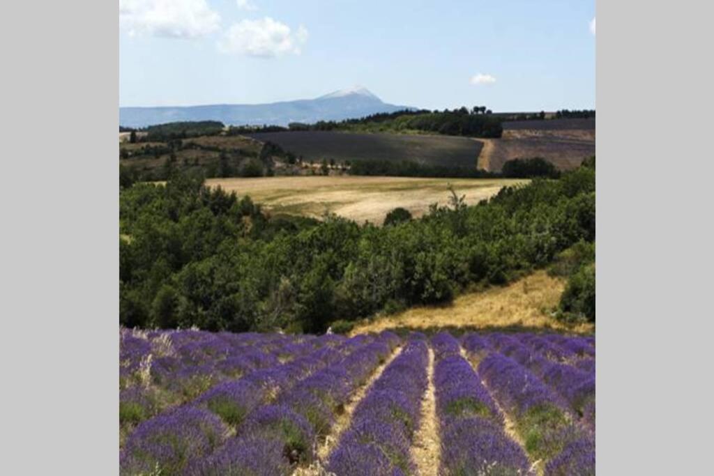 Chambre D Hotes Dans Le Vaucluse マザン エクステリア 写真