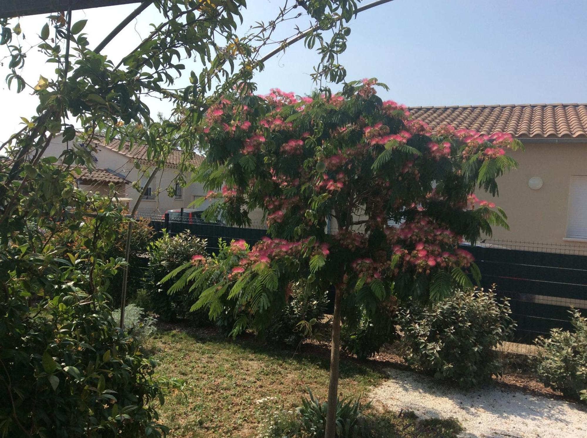 Chambre D Hotes Dans Le Vaucluse マザン エクステリア 写真